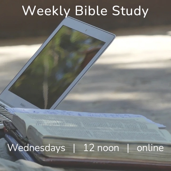 Weekly Online Bible Study